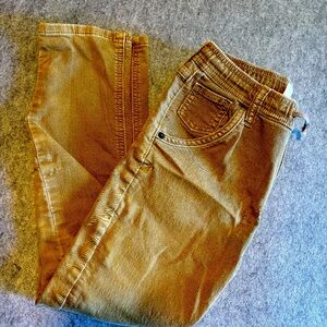 Dark Khaki pull-on pant